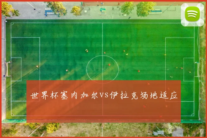 世界杯塞内加尔vs伊拉克场地适应
