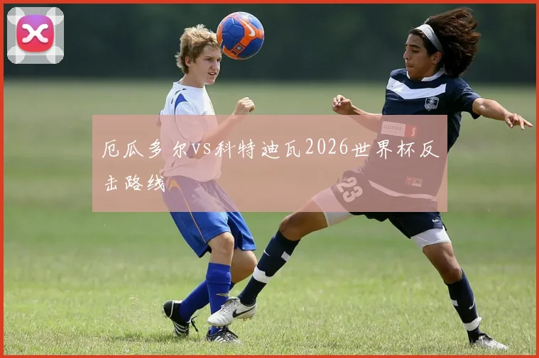 厄瓜多尔vs科特迪瓦2026世界杯反击路线