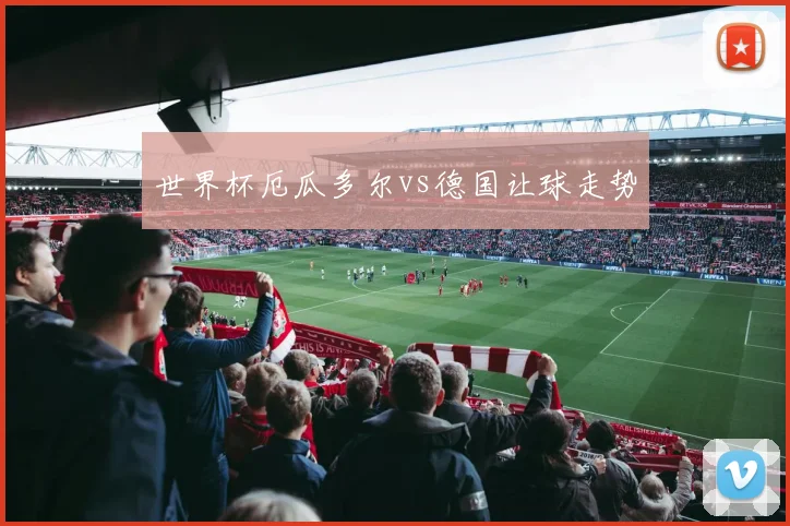 世界杯厄瓜多尔vs德国让球走势