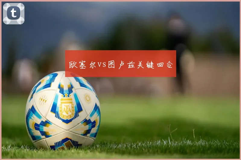 欧塞尔vs图卢兹关键回合
